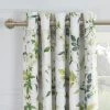 Dorma Botanical Garden Blackout Eyelet Curtains